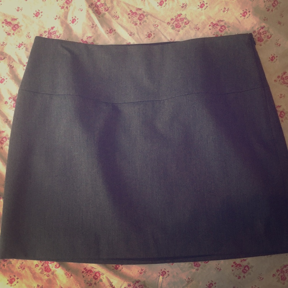 Express skirt